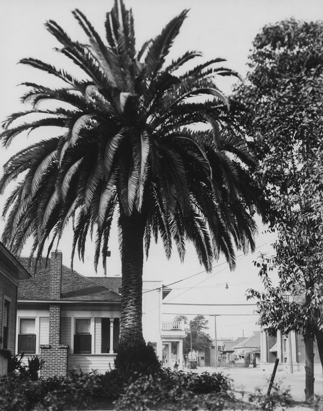 What’s Happening This Week: Nov. 4, 2019