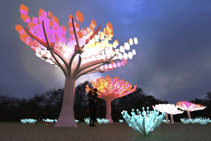 What’s Happening This Week: February 22, 2021