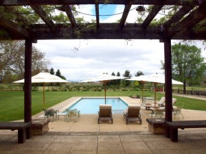 Home of the Week - Poolside 4195 Big Ranch Road Pool