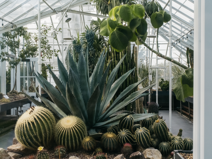 What&#8217;s Happening This Week: July 1, 2021