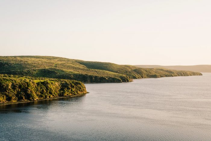 What&#8217;s Happening This Week: November 1, 2021