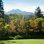 518807 4 Orchard Way, Kentfield