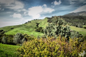 5656156334_fc4b150f1b_b Blackhawk