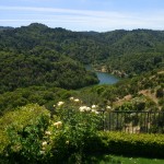 660 Goodhill_Garden7 660 Goodhill Road, Kentfield