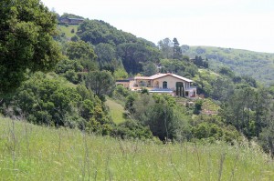 The Terra Linda/Sleepy Hollow Divide Open Space Preserve