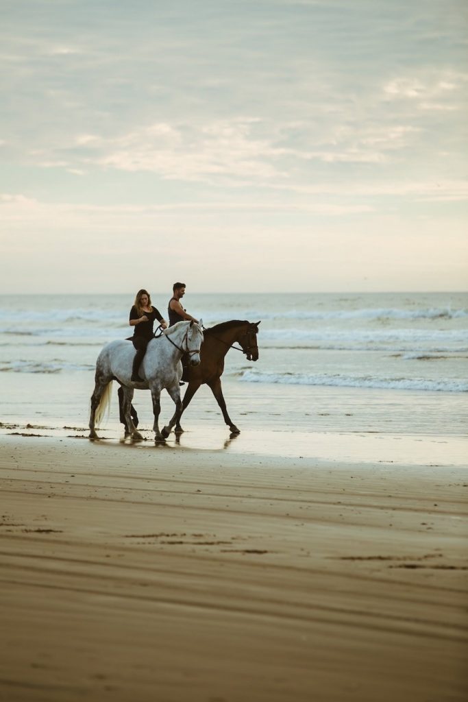 horses on beach