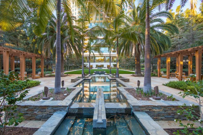 luxurious pool lined with palm trees