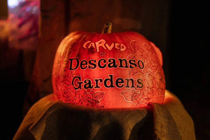 California Real Estate Blog - Carved at Descanso