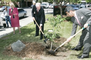 Local View: New Art in Walnut Creek, Piedmont Birdcallers on &#8216;Letterman,&#8217; and More