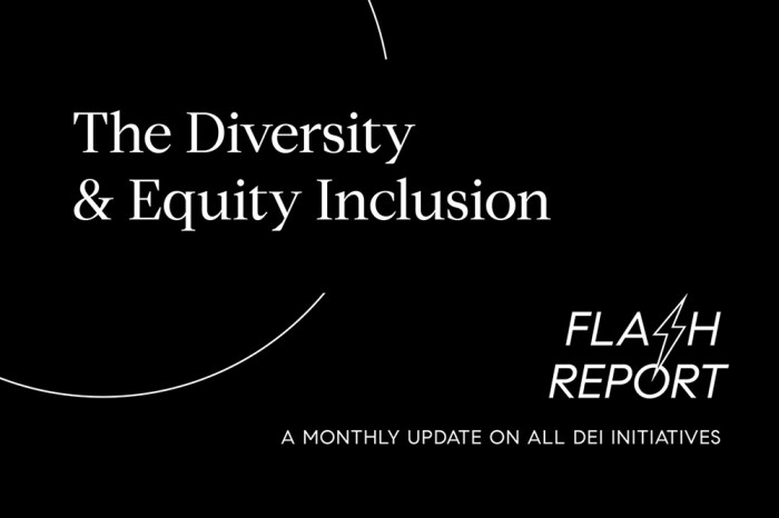 Compass DEIFlashReport