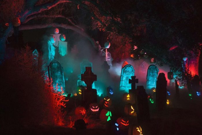 Compass - Nights of the Jack
