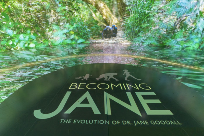 Compass - Becoming Jane
