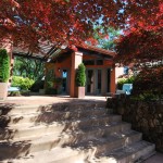 DSC_0373_edited-1 Glen Ellen estate