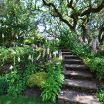 DSC_0515_edited-1 Glen Ellen estate