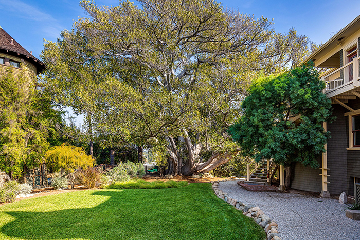 Grace Mansion backyard with lawn and tree
