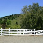 Horse arena The horse arena at 12 Country Oak Lane, Alamo