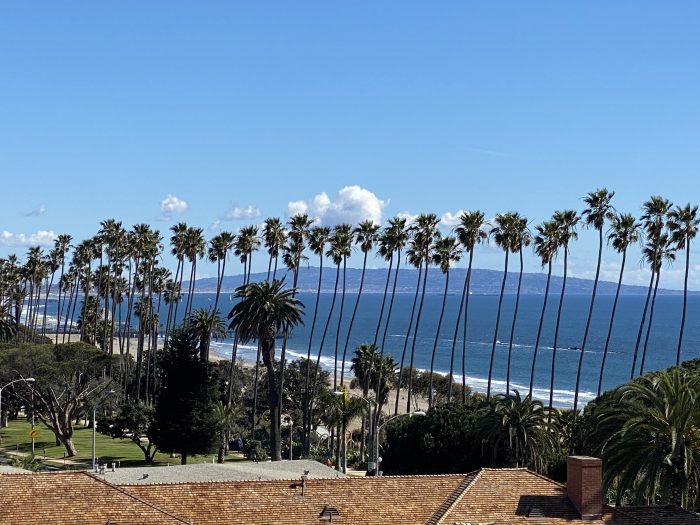 view of beach with palms