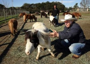 Local View: The President in San Francisco, Caves in Marin, and More