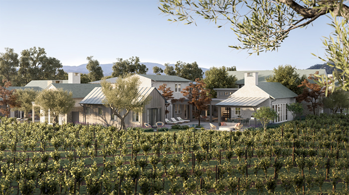 Vineyard and estate Napa