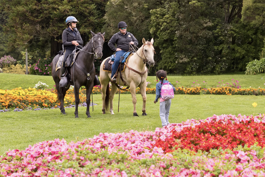 What’s Happening This Week: Nov. 11, 2019