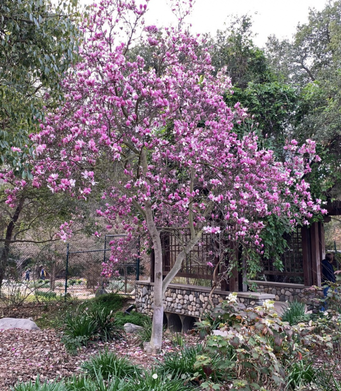 What’s Happening This Week: February 16, 2021