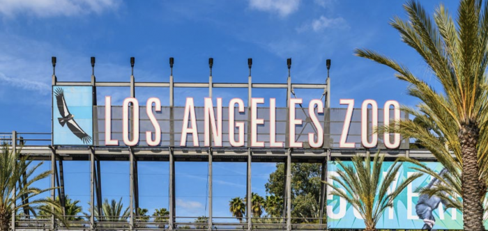 What’s Happening This Week: March 1, 2021