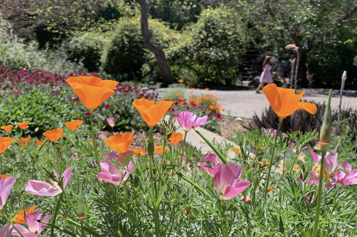 What&#8217;s Happening This Week: May 10, 2021