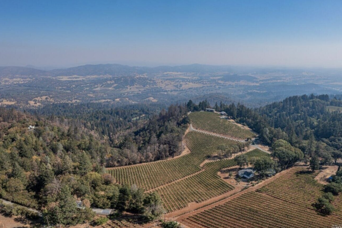 The Tastemakers: Wine Country’s Most Beautiful Homes