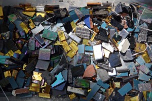 Local View: New Art in Walnut Creek, Piedmont Birdcallers on &#8216;Letterman,&#8217; and More