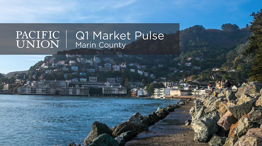 You Tube Q  Still Frames Marin