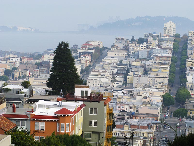 foggy telegraph hill