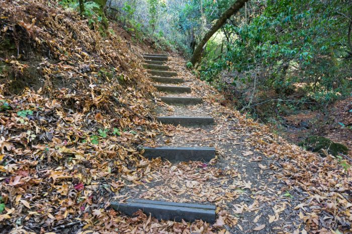 What’s Happening This Week: February 8, 2021