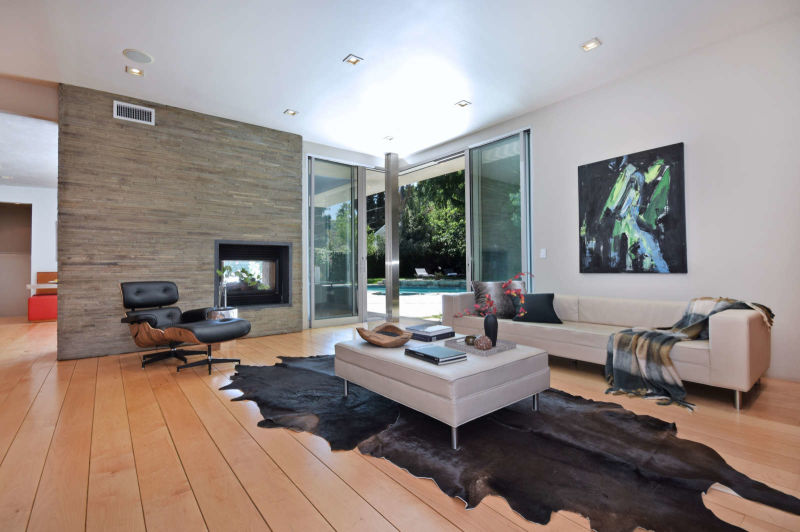 Modern architecture living room