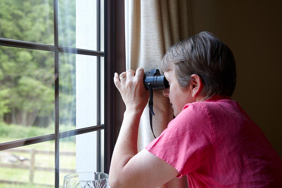 Noseyneighbouratthewindowwithbinoculars PacificUnion