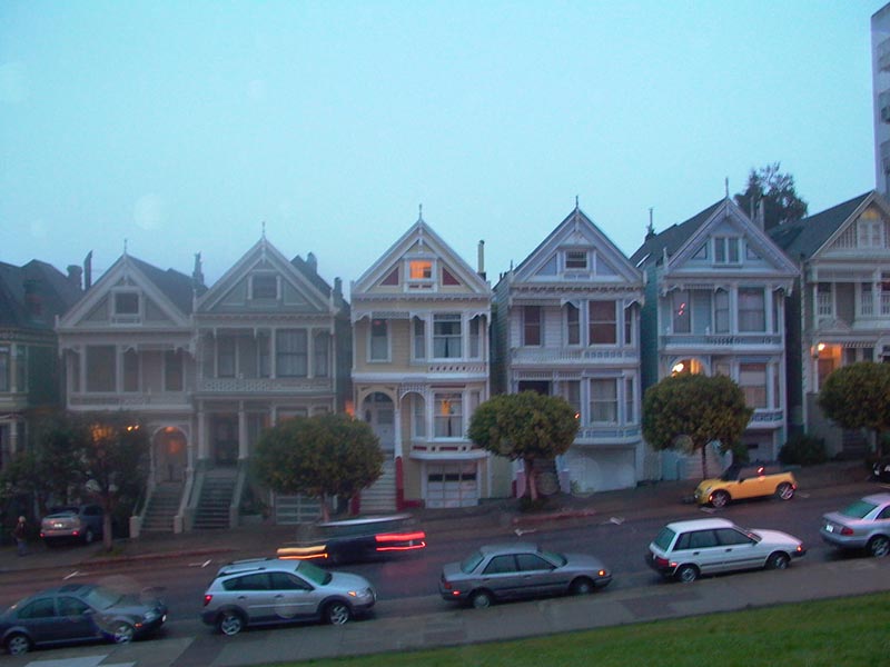 paintedladies winter
