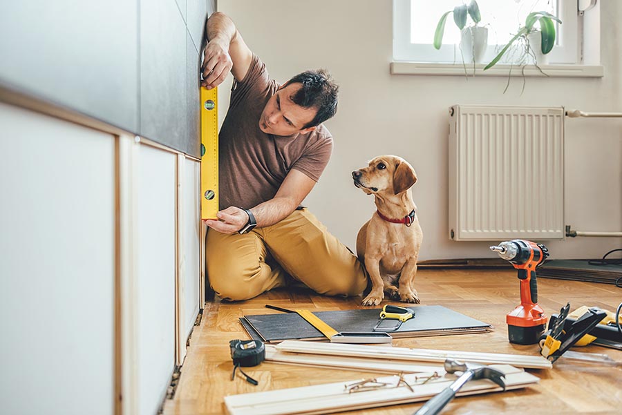 renovatingwithdog