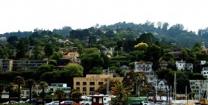 Sausalito hillside