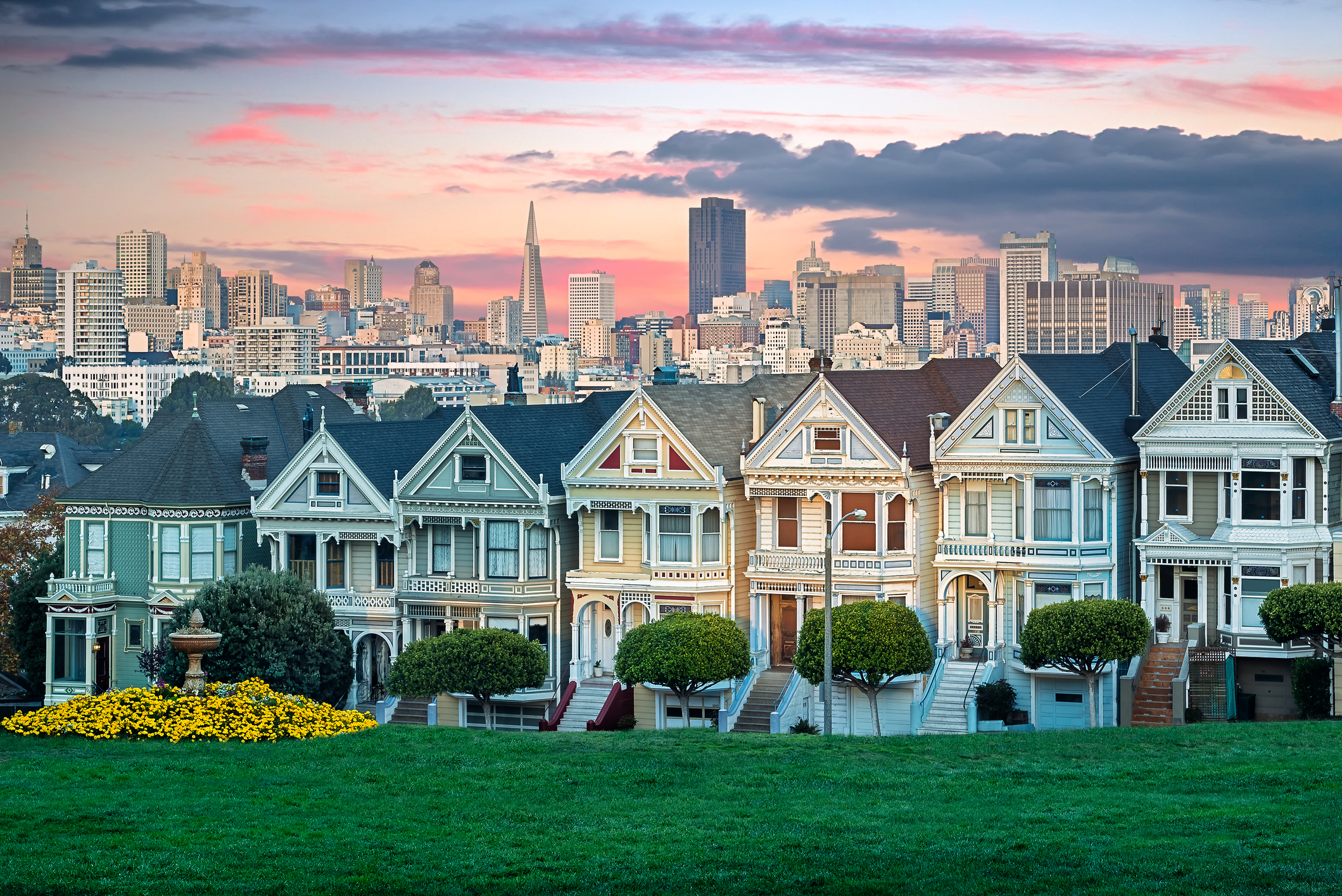 sf painted ladies