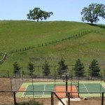 sportct The sport court at 12 Country Oak Lane, Alamo