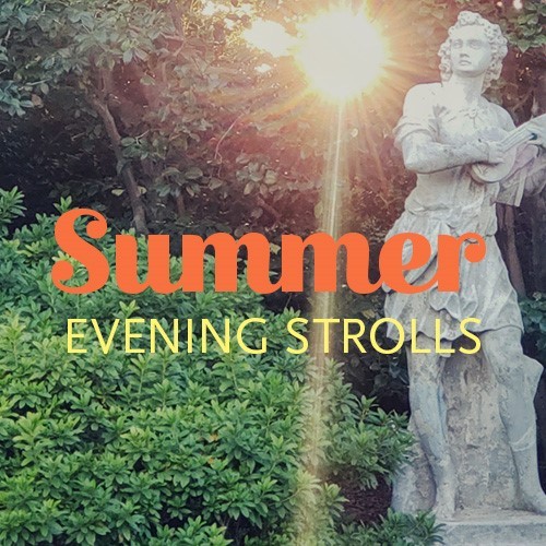 What’s Happening This Week: July 19, 2021