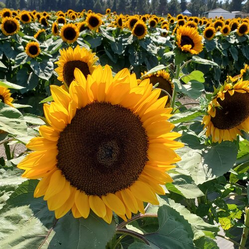 What’s Happening This Week: July 26, 2021