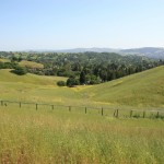 valley view The hills at 12 Country Oak Lane, Alamo