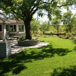 yard 12 Country Oak Lane, Alamo